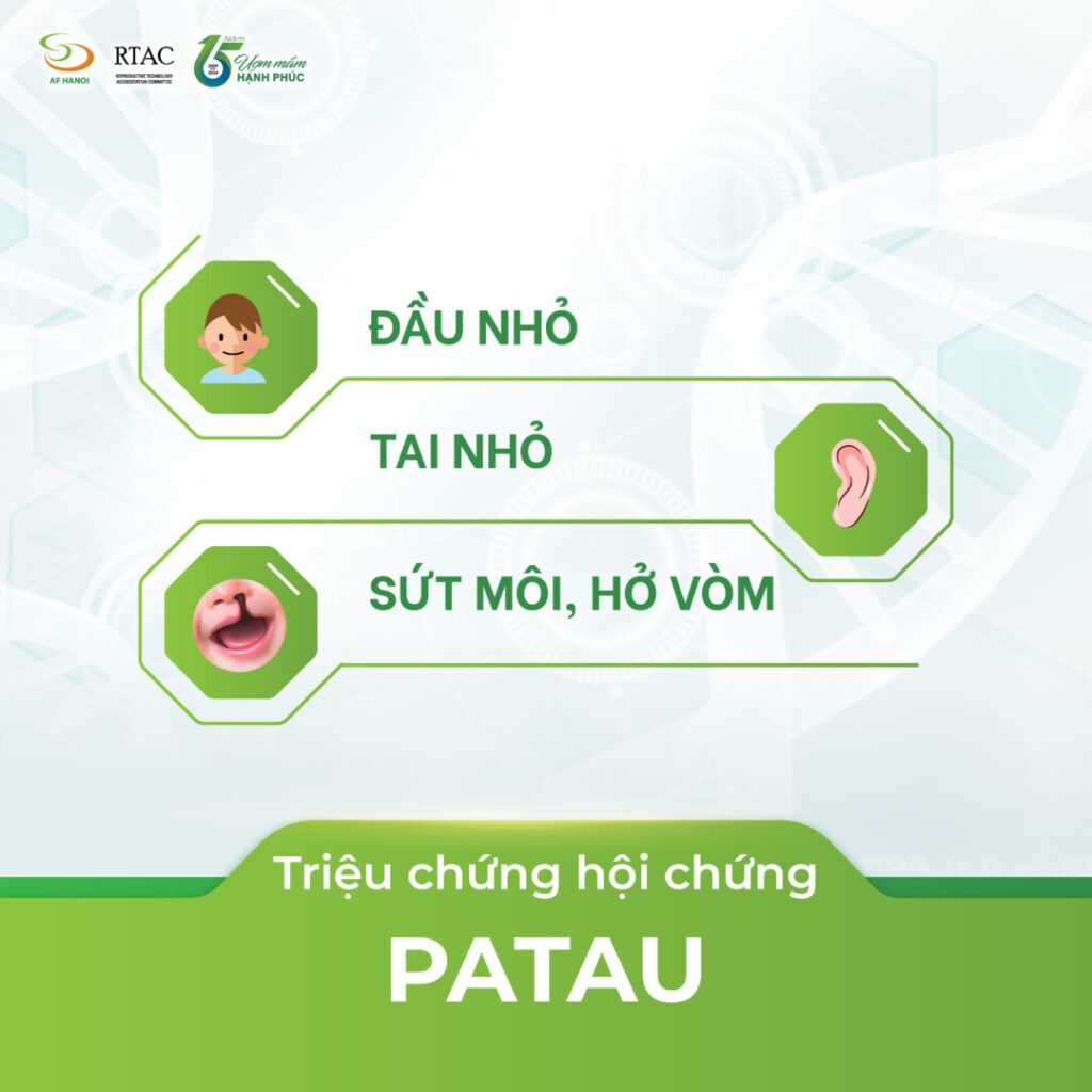 HỘi ChỨng Patau 01