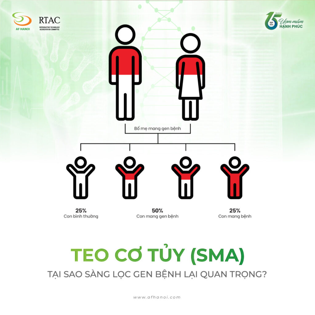 Teo CƠ TỦy (sma) 01