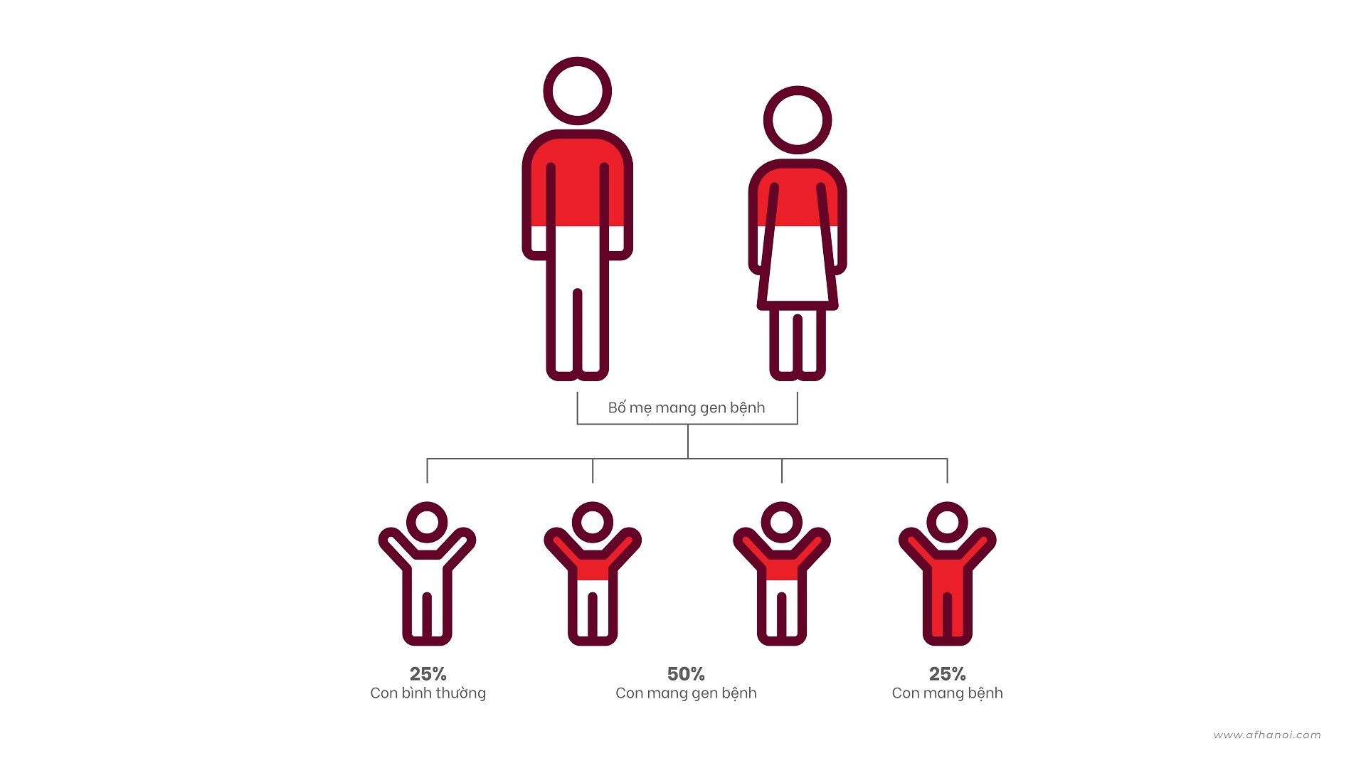 Benh Thalassemia Tan Mau Bam Sinh 02