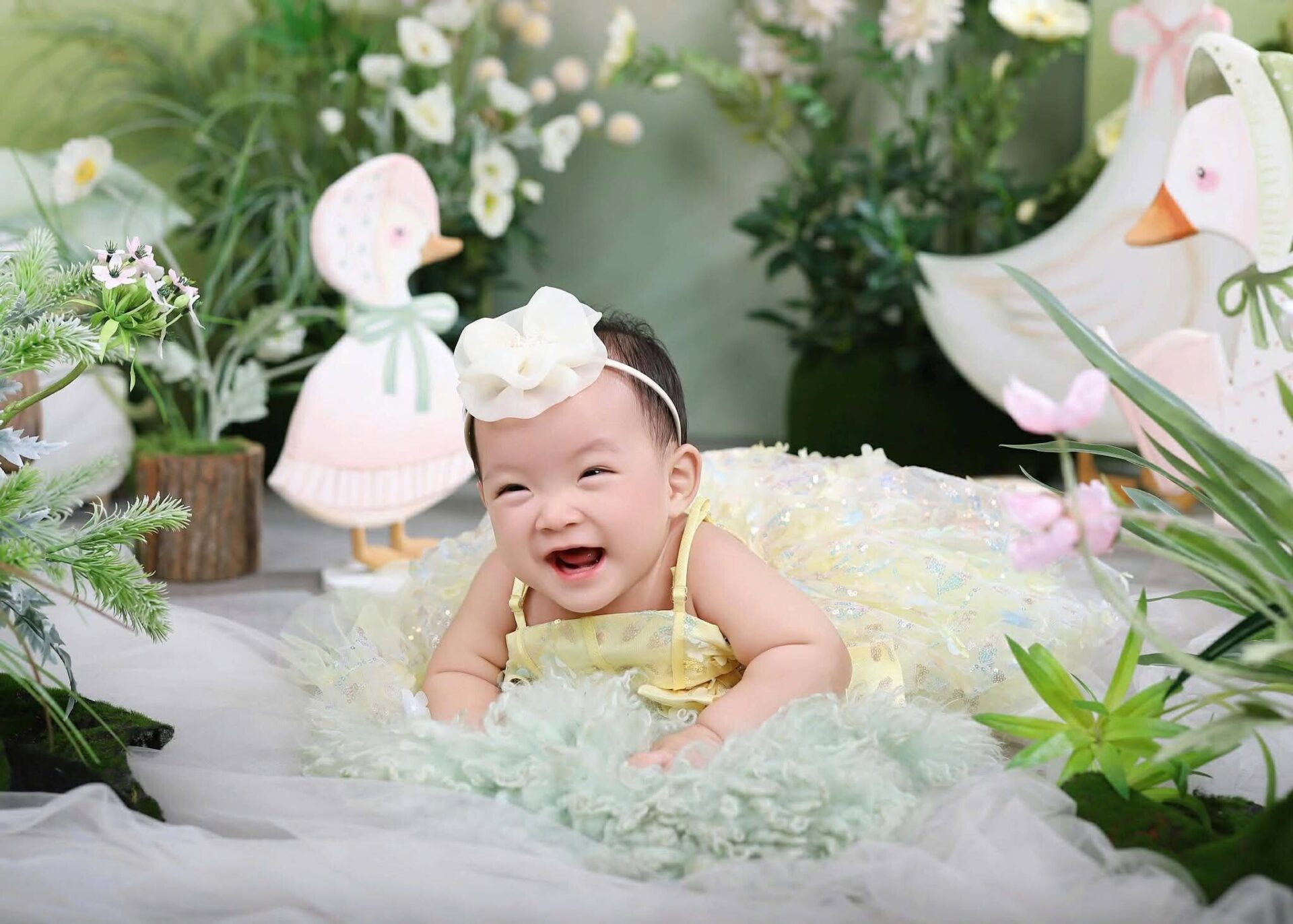 Vũ Ngọc Châm (1)