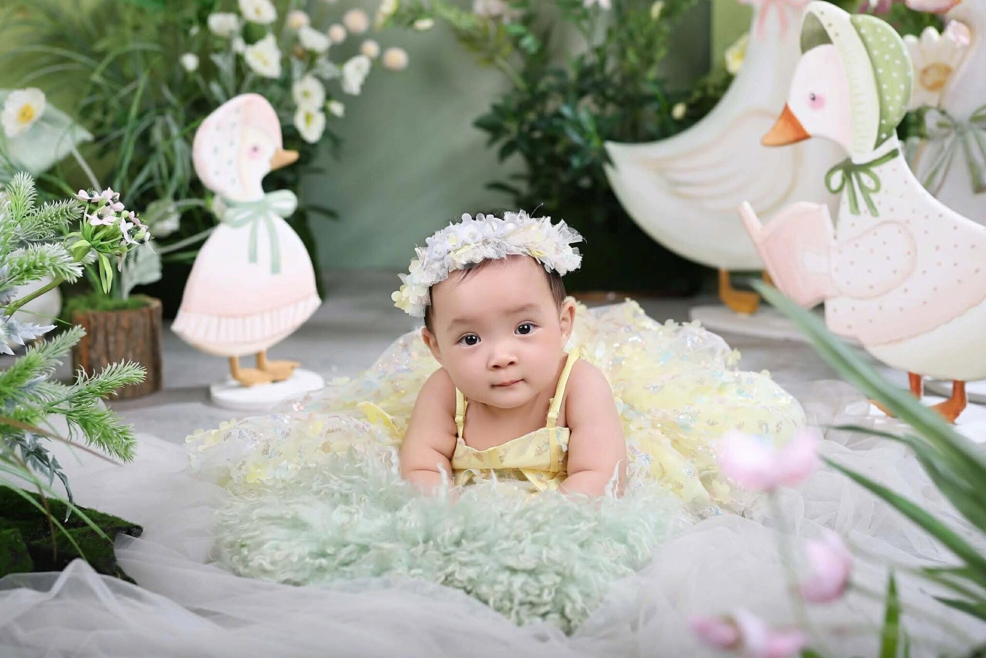 Vũ Ngọc Châm (3)