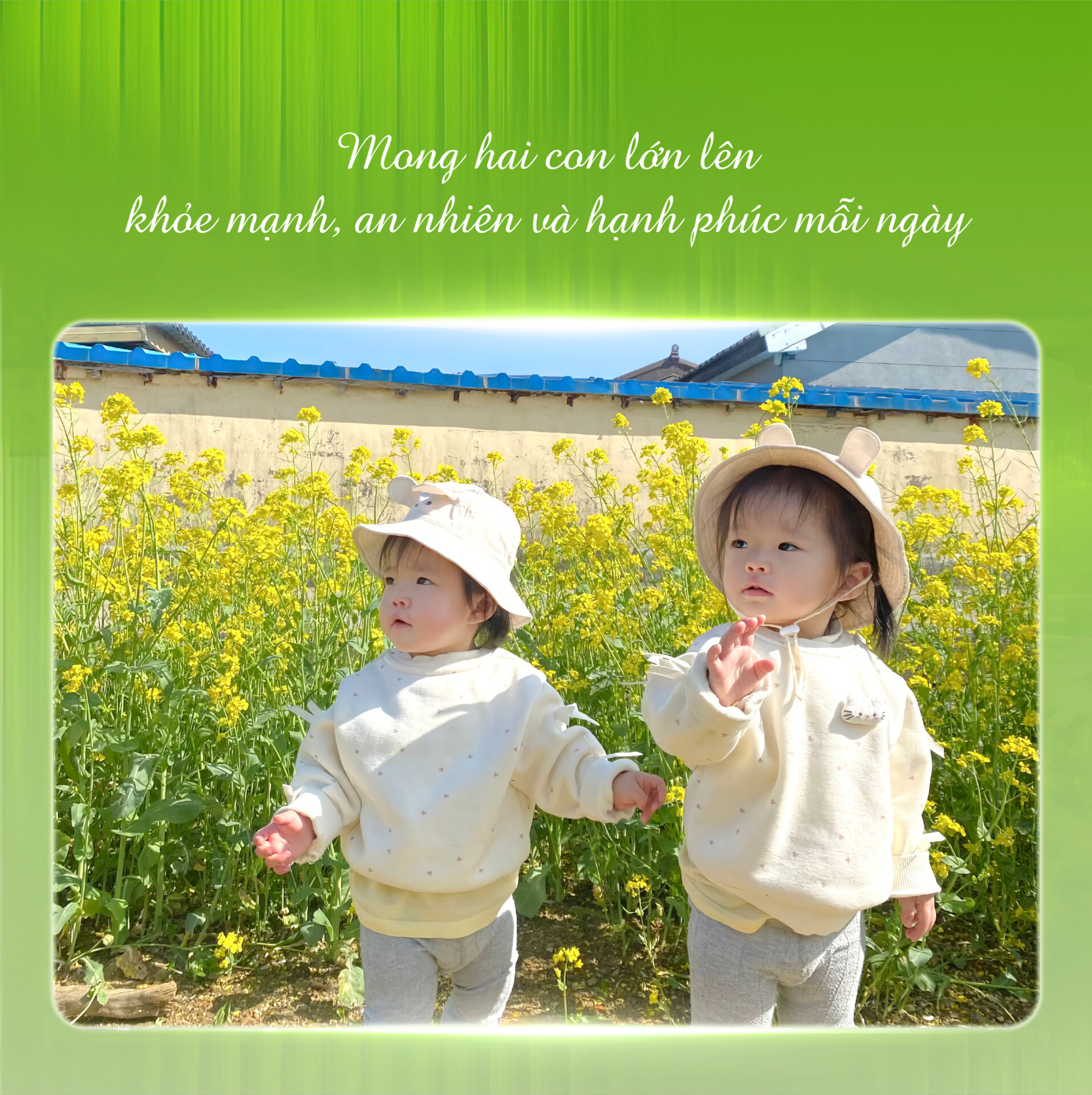 Gia Dinh Viet Han 03