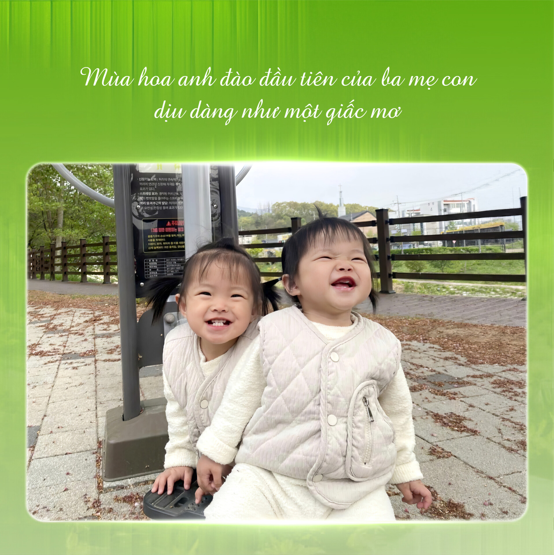 Gia Dinh Viet Han 05